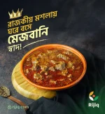 রাজকীয় মাংসের মশলা - Image 2